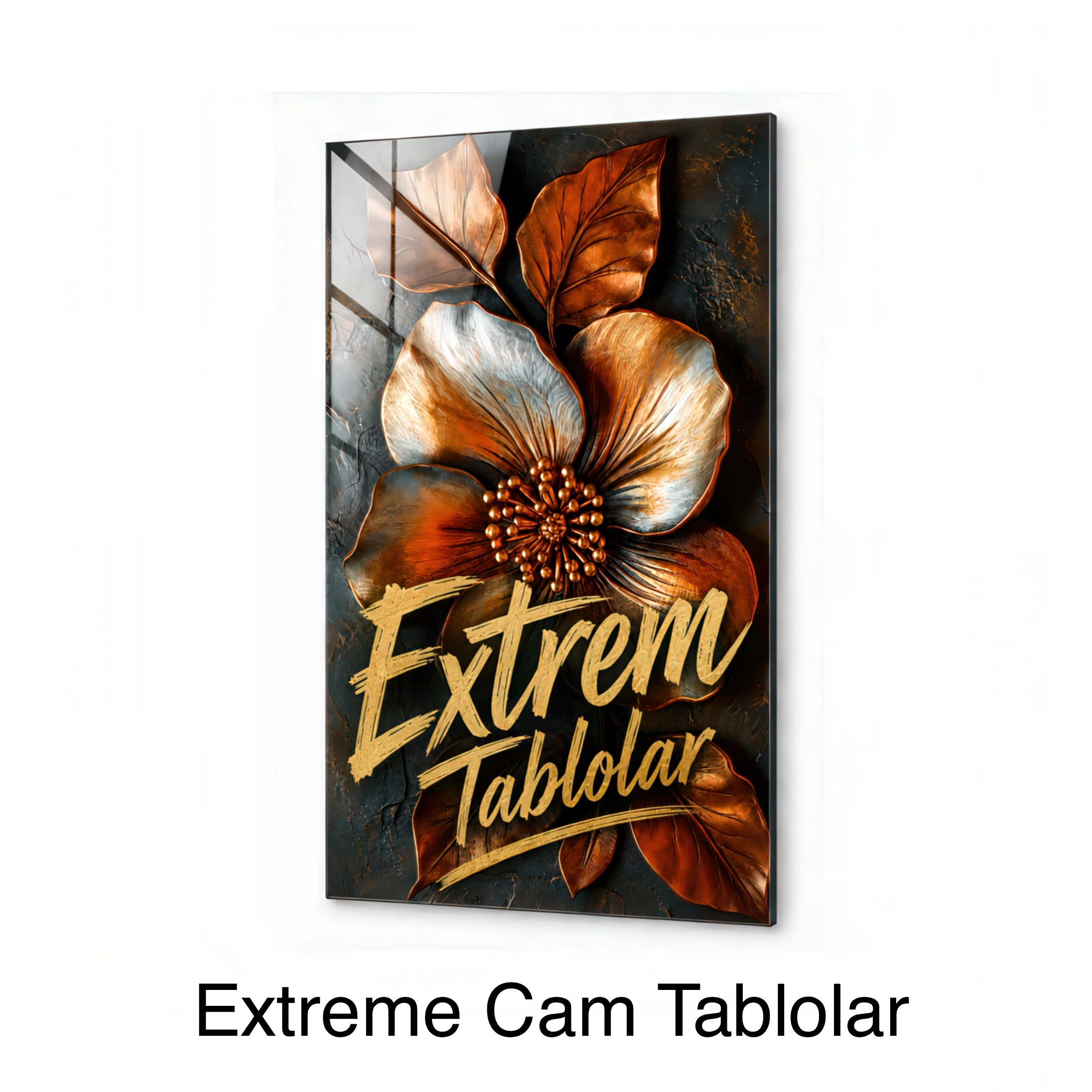 Extreme Cam Tablolar